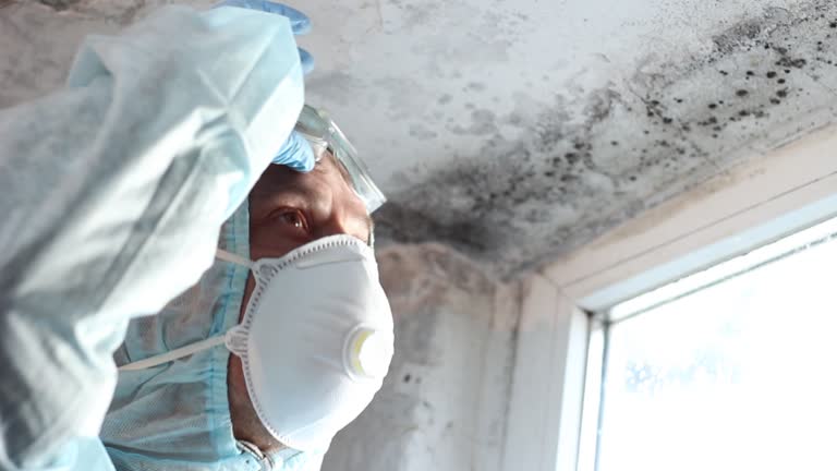 Best Comprehensive Air Testing for Mold Contaminants  in Rio Rancho Estates, NM